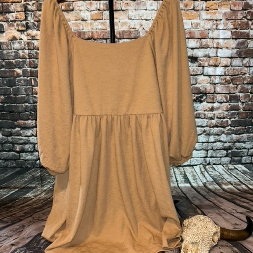 NWT Main Strip dress Size 1X in Rose
